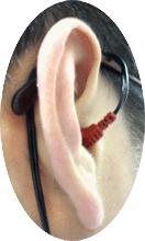 touchnoise_tip.gif (22341 �o�C�g)